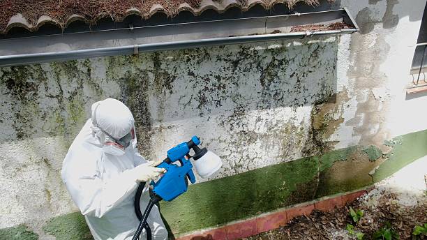 Top rated local Mold Remediation specialists in Abbottstown, PA